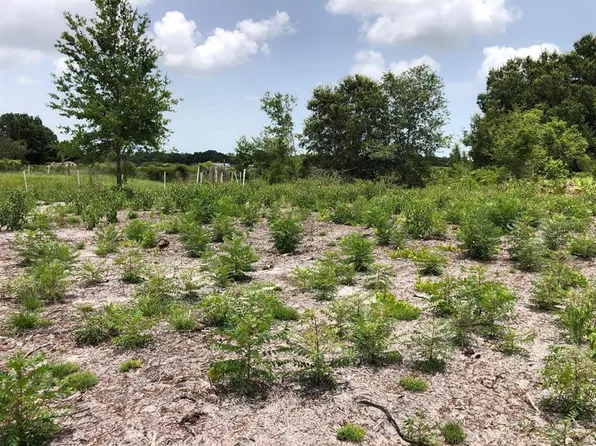 DUCK KEY STREET LOT 332, LAKE WALES, FL 33859