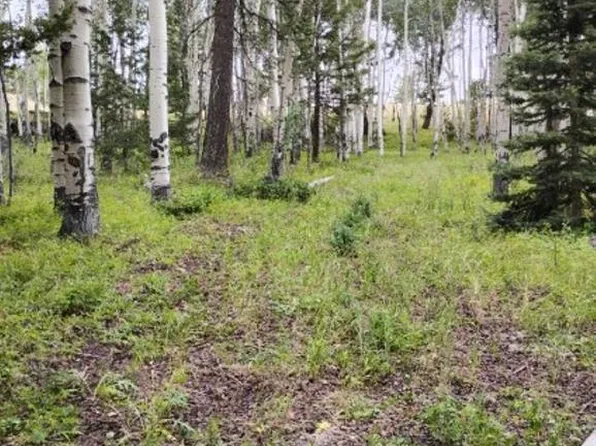 770 Ponderosa Way, Cimarron, CO 81220