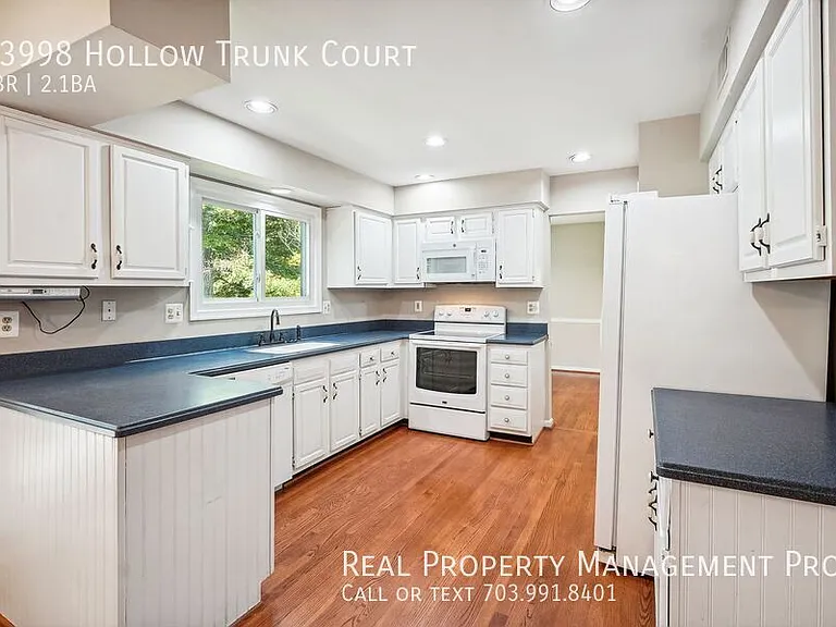 13998 Hollow Trunk Ct — Photo 10