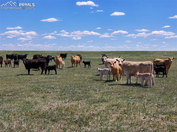 18497 County Road 197, Limon, CO 80828