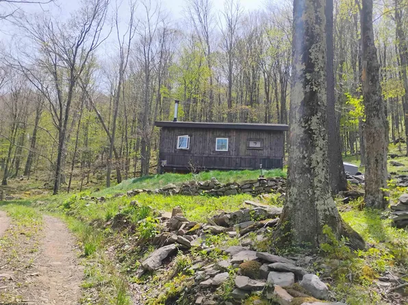 1373 Rocky Rd, Harman, WV 26270