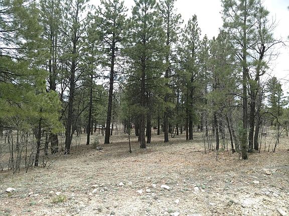 3rd image of 2638 Hopi Dr