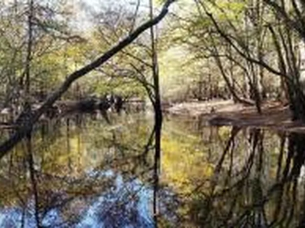 0 Sandy Pines Ln, Dorchester, SC 29437