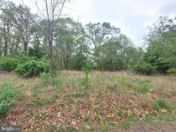 39 N River Highlands Rd, Delray, WV 26714