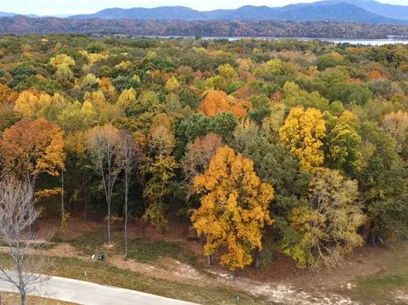 61 Sunset Blvd, White Pine, TN 37890