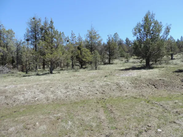 LOT 48 Natchez Ct, Fall River Mills, CA 96028