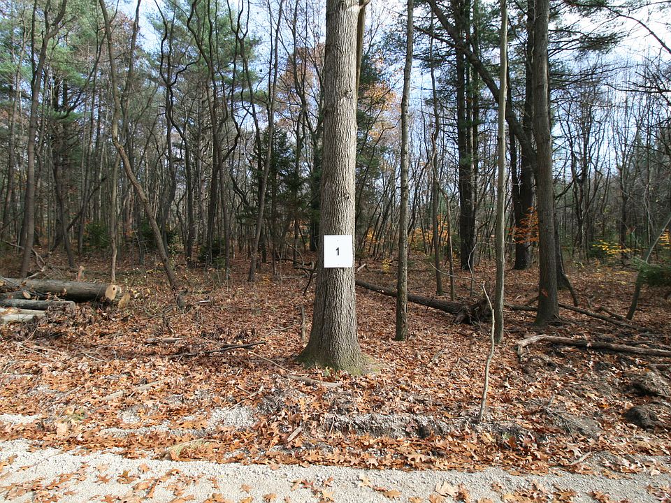 1st image of Westwood Trl #1.2