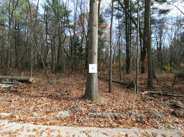 Westwood Trl #1.2, Hamilton, MI 49419