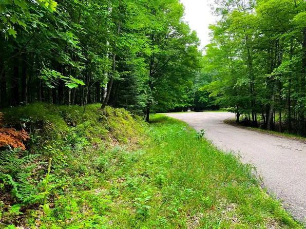 On Parsons Ln, Pickerel, WI 54465