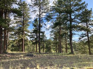 Lot 10 Poplar Place, Ridgway, CO 81432