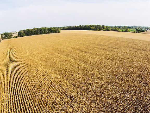 Aerial View of Tracts 1 & 2