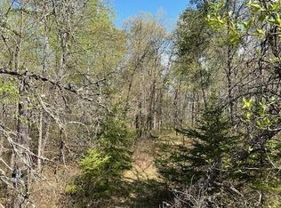 Mikes Rd SW, Bemidji, MN 56601