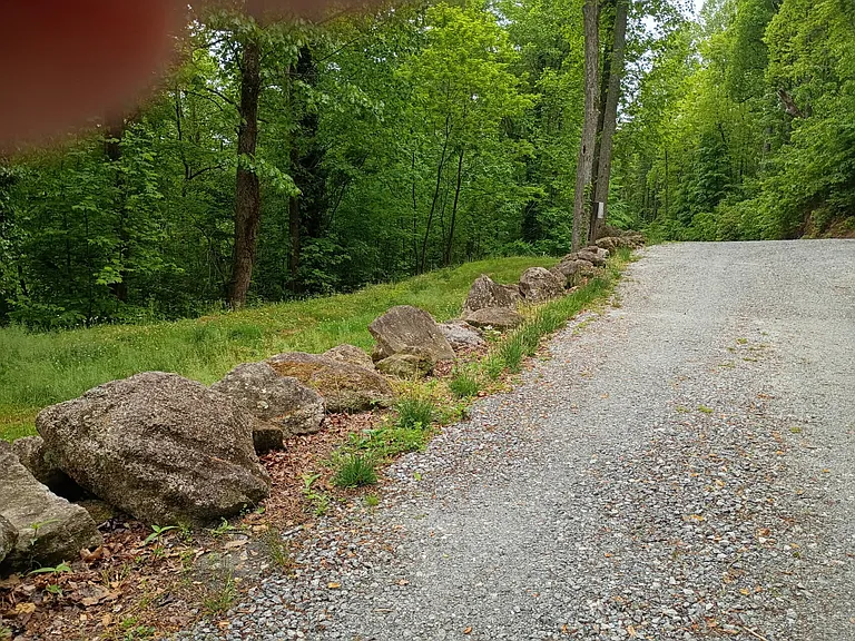 24 Dogwood Ln — Photo 31