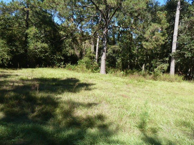 1st image of 4752 Dick Mitchell Dr #0