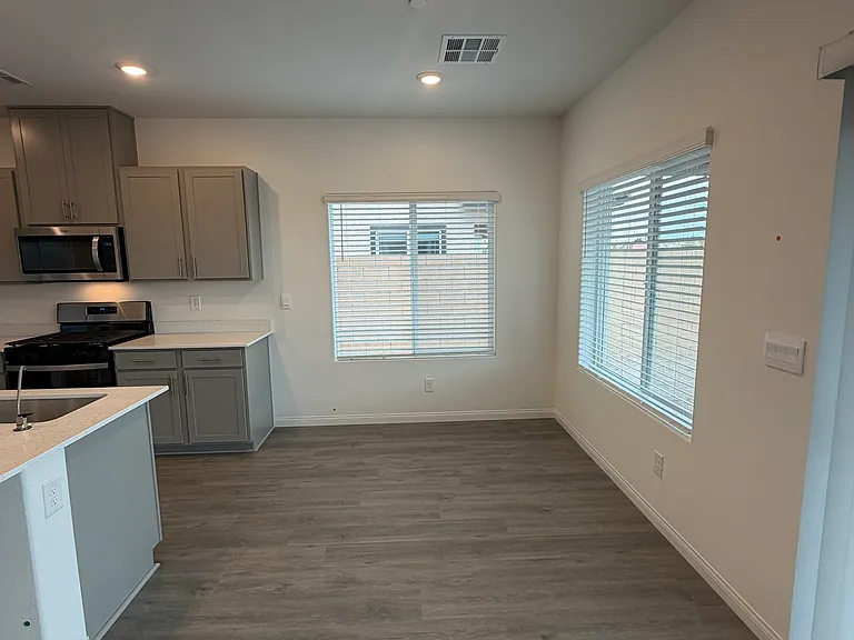 1107 Saffron Toucan Ln — Photo 10
