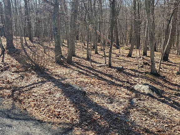 5th image of 155 Cardinal Dr