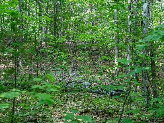 3rd image of Lot 4.1 Tommy Lot Road