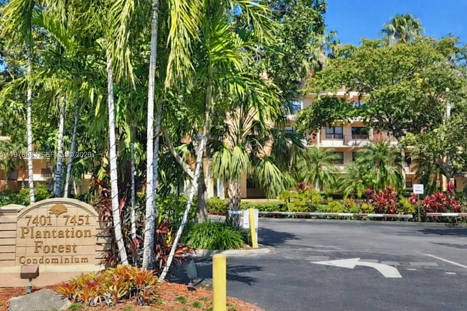 Plantation Forest Condo — Photo 2