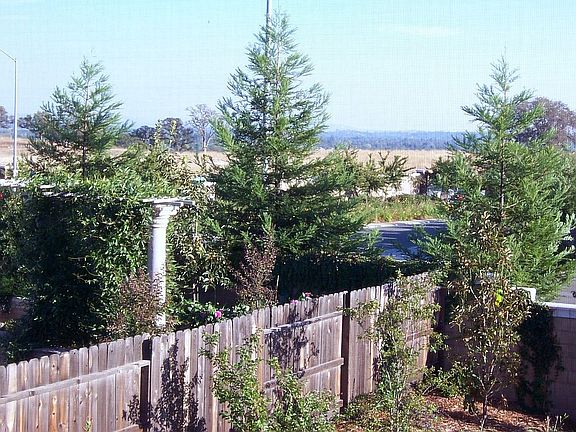 master bedroom view