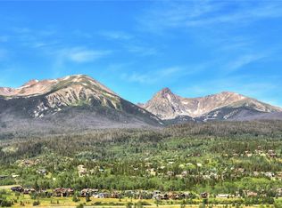 32 Fish Hawk Way #8, Silverthorne, CO 80498