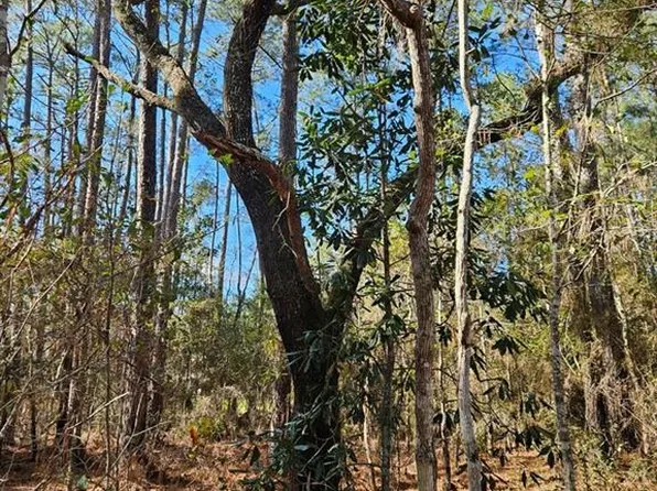 68042 S Strain Rd, Mandeville, LA 70471