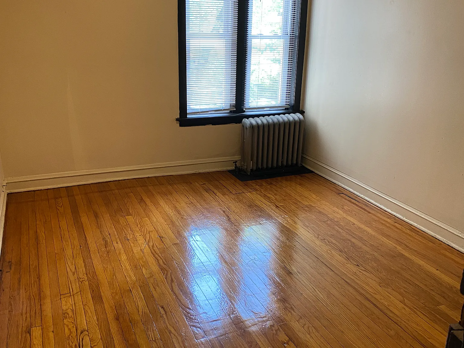 3 bed, 1650 sqft, $1,850 — Photo 4