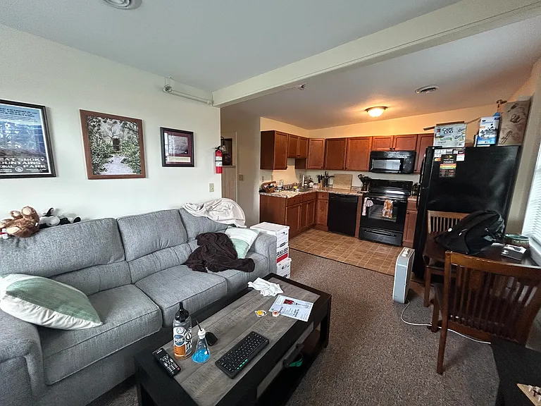 Open Concept Living/Kitchen
