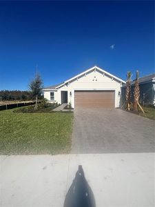 30087 Imperati Blvd, Wesley Chapel, FL, 33543