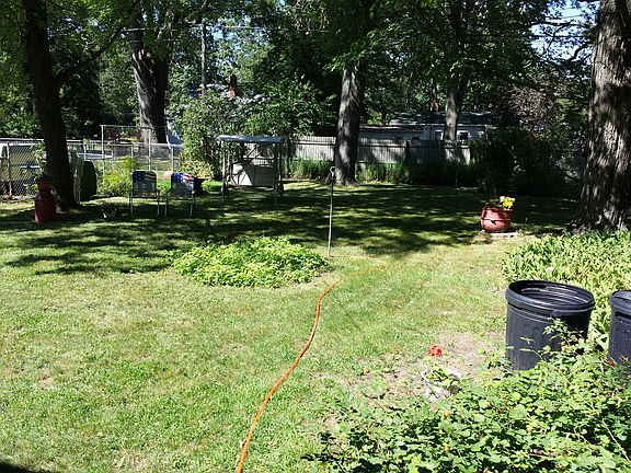 Large back yard