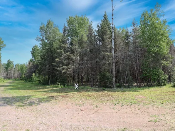 LOT Homers Rd #C, Mercer, WI 54547