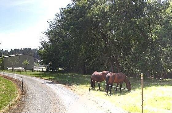 1st image of 3855 Newell Ln