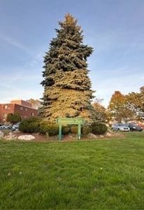800 Governors Dr APT 30, Winthrop, MA, 02152