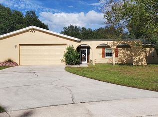 1010 Highgrove Ct, Valrico, FL 33596