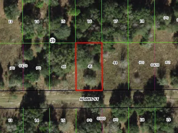 2402 Adams St, Inverness, FL 34453