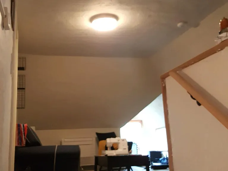 816 Savannah Ave — Photo 13