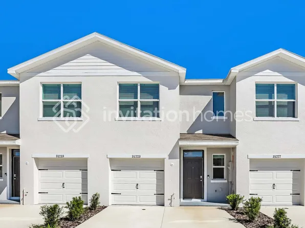 31223 Monterey Pine St, Wesley Chapel, FL 33545