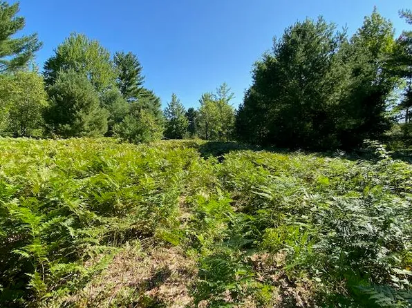 58 Fairway Hollow Dr, Mancelona, MI 49659