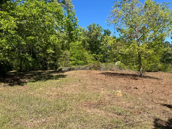 360 Sherwood Trl, Newton, AL 36352