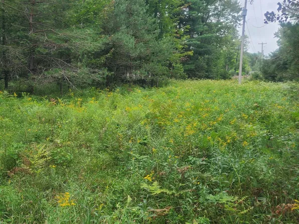 0 M 55, Whittemore, MI 48770