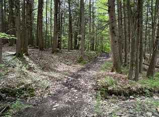 660 Anne Rd, Windsor, NY 13865