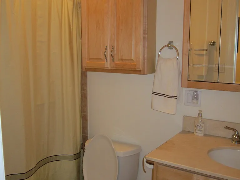 910 W Barry Ave #1 — Photo 9