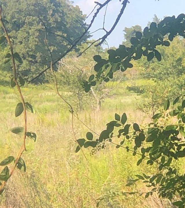 1st image of 410 Wooded Creek Dr