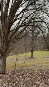 3337 Washington Pike, Bridgeville, PA, 15017