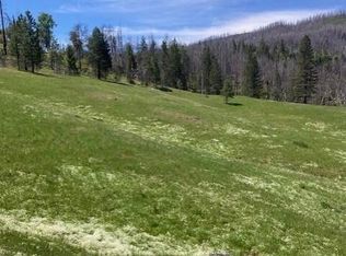 411 Holly Creek Ln, Ruth, CA 95526