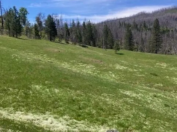 411 Holly Creek Ln, Ruth, CA 95526