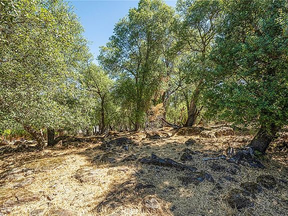 4th image of 18876 Timber Point Rd