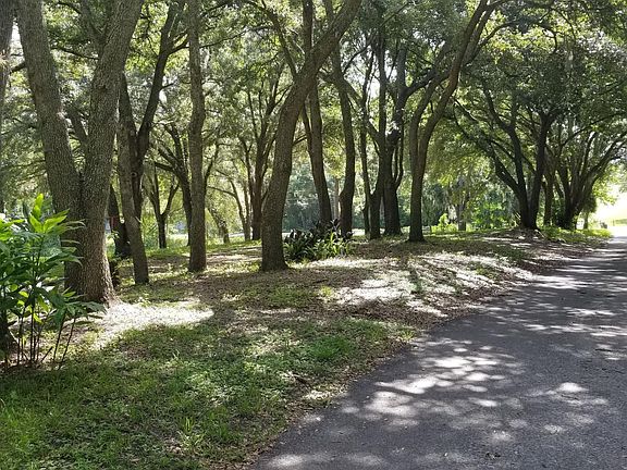 private road leading to property and house shared by two houses.