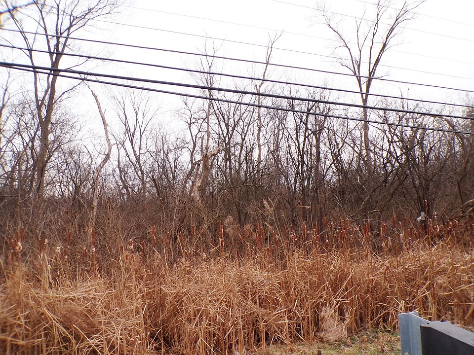 2nd image of 25565 N Midlothian Rd