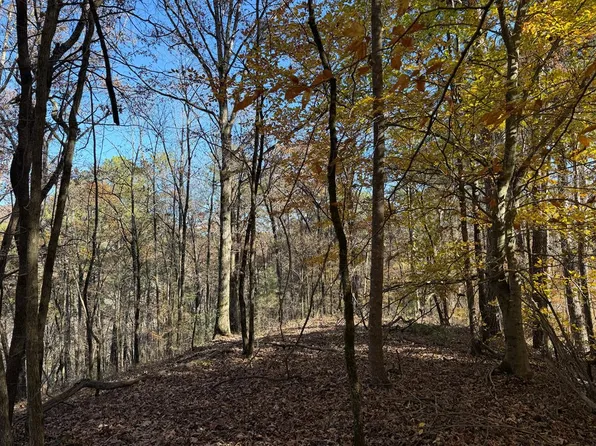 0 Whitestone Rd, Talking Rock, GA 30175