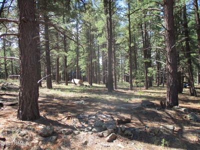 7184 E Knighthood Ln #111, Williams, AZ, 86046